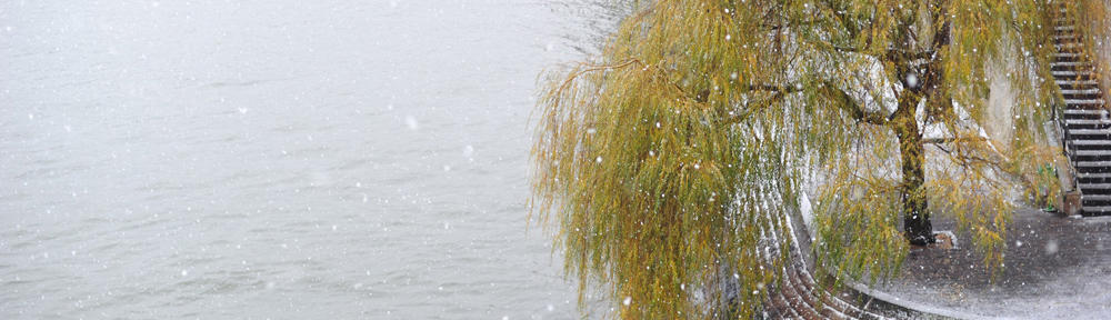 Four Season News